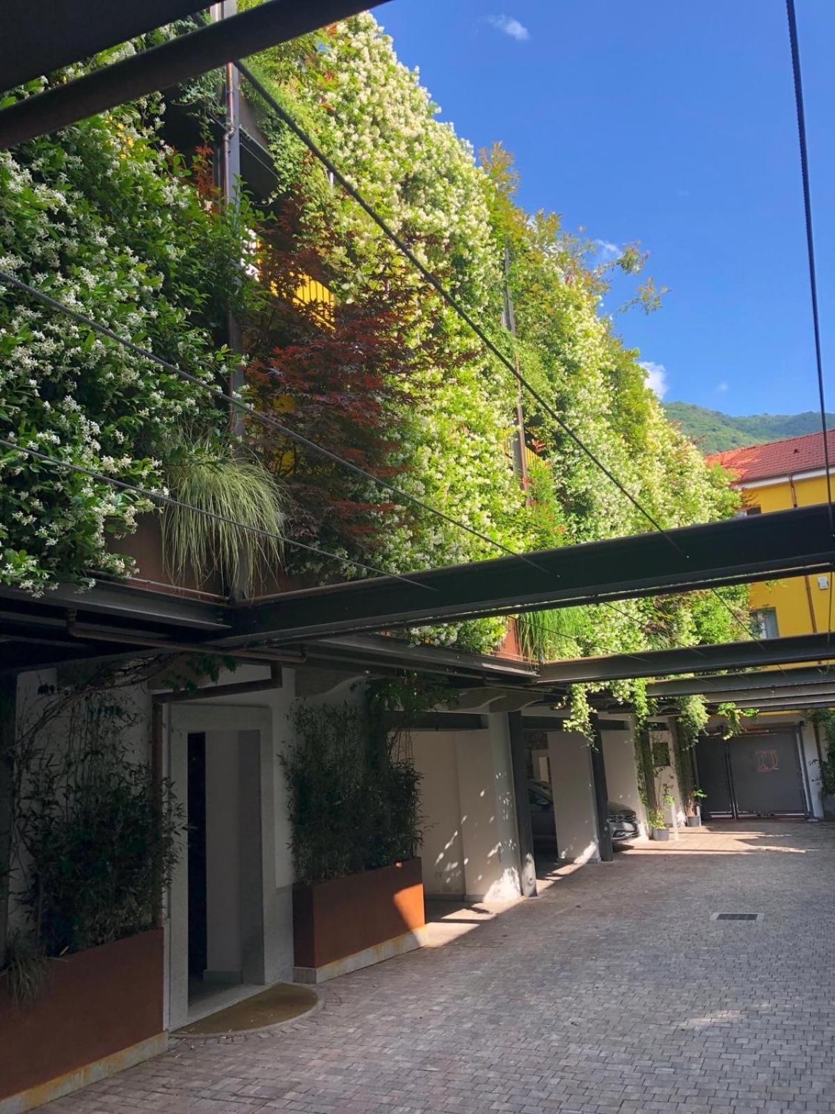 Residence Casa Coppa Appartamento Aster Omegna Exteriör bild